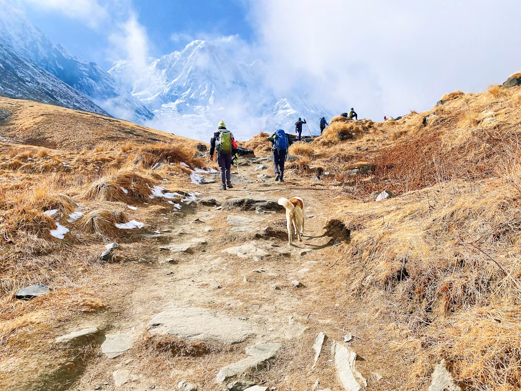 Trekking